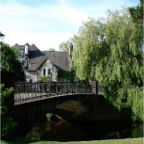 _University College Cork, 1845