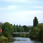 Shaky Bridge in Fitzgerald Park_