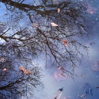 Fitzgerald Park in Autumm, Cork City