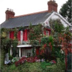 Flower Shop in Douglas, Cork City