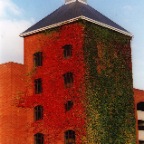 Autumn Picture in Cork City Centre
