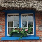 Adare (Co. Limerick)