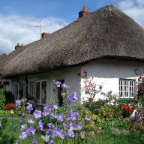 _Adare (Co. Limerick)