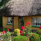 _Cottage in Adare (Co. Limerick)