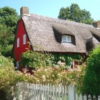 Traditional Cottage near Youghal (Co. Cork)