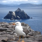 Skellig Rocks (Co. Kerry)