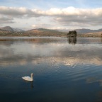 Kenmare Bay (from the Beara Peninsula, Co. Kerry)