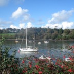 Rathcoursey West (Co. Cork)