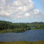 Connemara Landscape IV