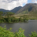 Connemara Landscape V