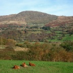 Shehy Mountains (Co. Cork)