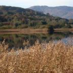 Inchigeelagh (Co. Cork)