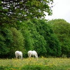 Crosshaven (Co. Cork)