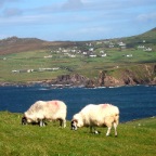 Dunquin (Dingle, Co. Kerry)