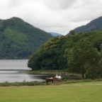 Muckross Lake (Killarney National Park, Co. Kerry)