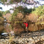 Ross Castle, Mining Walk (Killarney National Park)