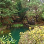 Ross Castle Mining Trail (Killarney National Park, Co. Kerry)
