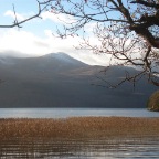 Ross Castle Walk (Killarney National Park)