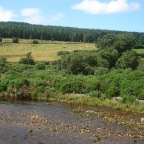 Liffey River (Wicklow Mountains) 