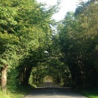 Wexford Rural Road to Kilmore (Co. Wexford)